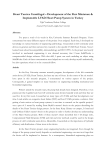 Project Report by Yiğit Yorulmaz (Word Document)