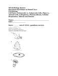 MCAS Biology Review