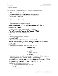 Glycolysis Questions