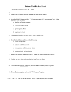 Botany Review Sheet