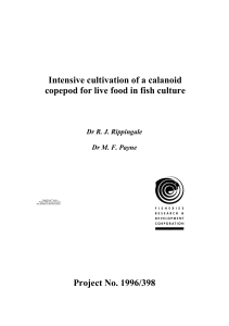 Appendix 6. Intensive cultivation of a calanoid copepod
