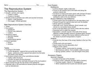 The Reproductive System