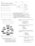 Minerals, Rocks, Plate Tectonics Review