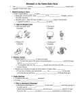 Simple Machines and the Human Body