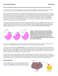 Macromolecules Lab 1