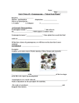 Unit 4 Notes #5 Gymnosperm Fill In - Mr. Lesiuk