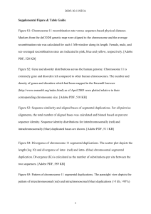 The DNA sequence and biology of human chromosome 19