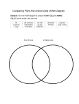 Comparing Plant And Animal Cells VENN Diagram