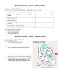 Activity 1: Lung Model