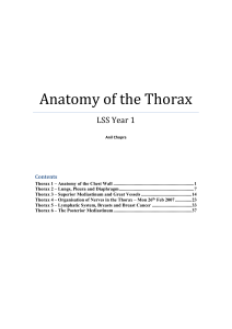 Anatomy of the Thorax