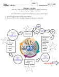 Cell transport, energy, and division