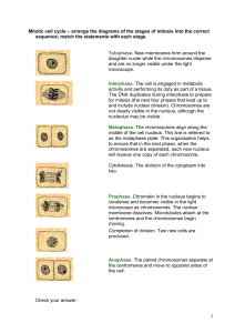 Mitotic cell cycle – arrange the diagrams of the stages of mitosis into