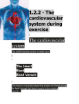 1.2.2 - The cardiovascular system during exercise
