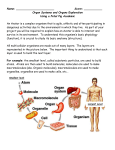 Fetal Pig Dissection: External Anatomy and Digestive System