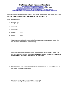 The Nitrogen Cycle Homework Questions