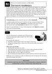 Microbes Pupil Task File