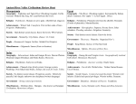 Ancient River Valley Civilizations