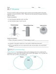 Virus/Bacterial Worksheet