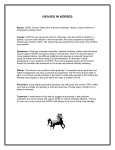 heaves in horses - Equine Health Maintenance