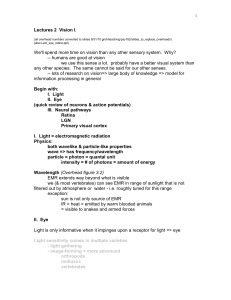 1 Lectures 2 Vision I. (all overhead numbers converted to slides 8/31