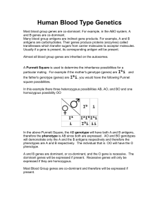 Human Blood Type Genetics