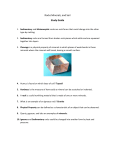 Rocks Minerals, and Soil Study Guide Sedimentary and