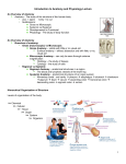 Introduction to Anatomy and Physiology