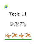 Topic 11 MAINTAINING HOMEOSTASIS In this chapter you will