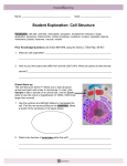 Cell Structure Gizmo Student Sheet 2014.