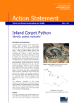 Carpet Python-(Morelia spilota metcalfei) accessible