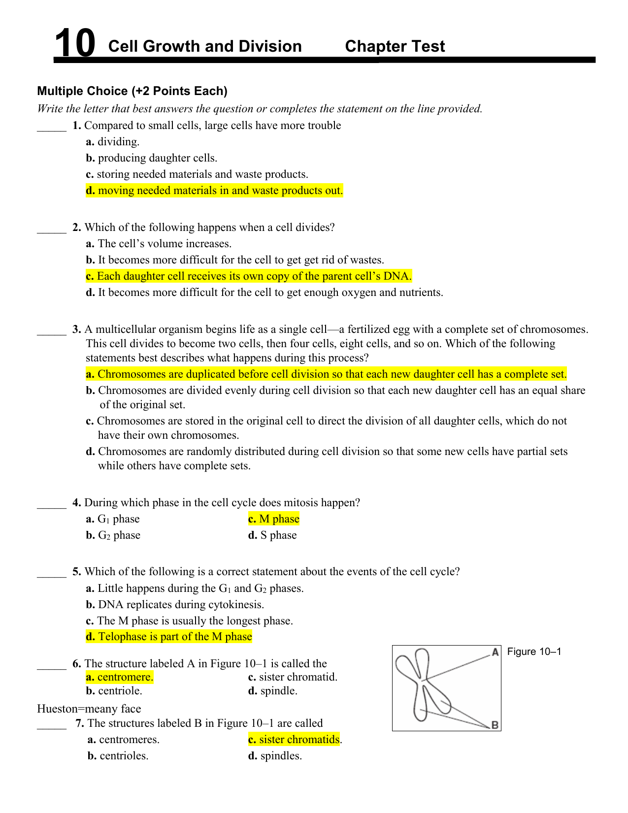 Biology chapter 10 cell growth and division test answer key File