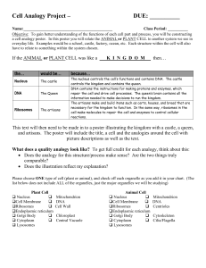 Cell Analogy