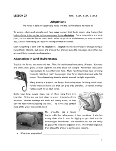 LESSON 27 TEKS: 3.10A, 4.10A, 5.10A,B Adaptations The words in