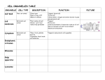 CELL ORGANELLES TABLE worksheet