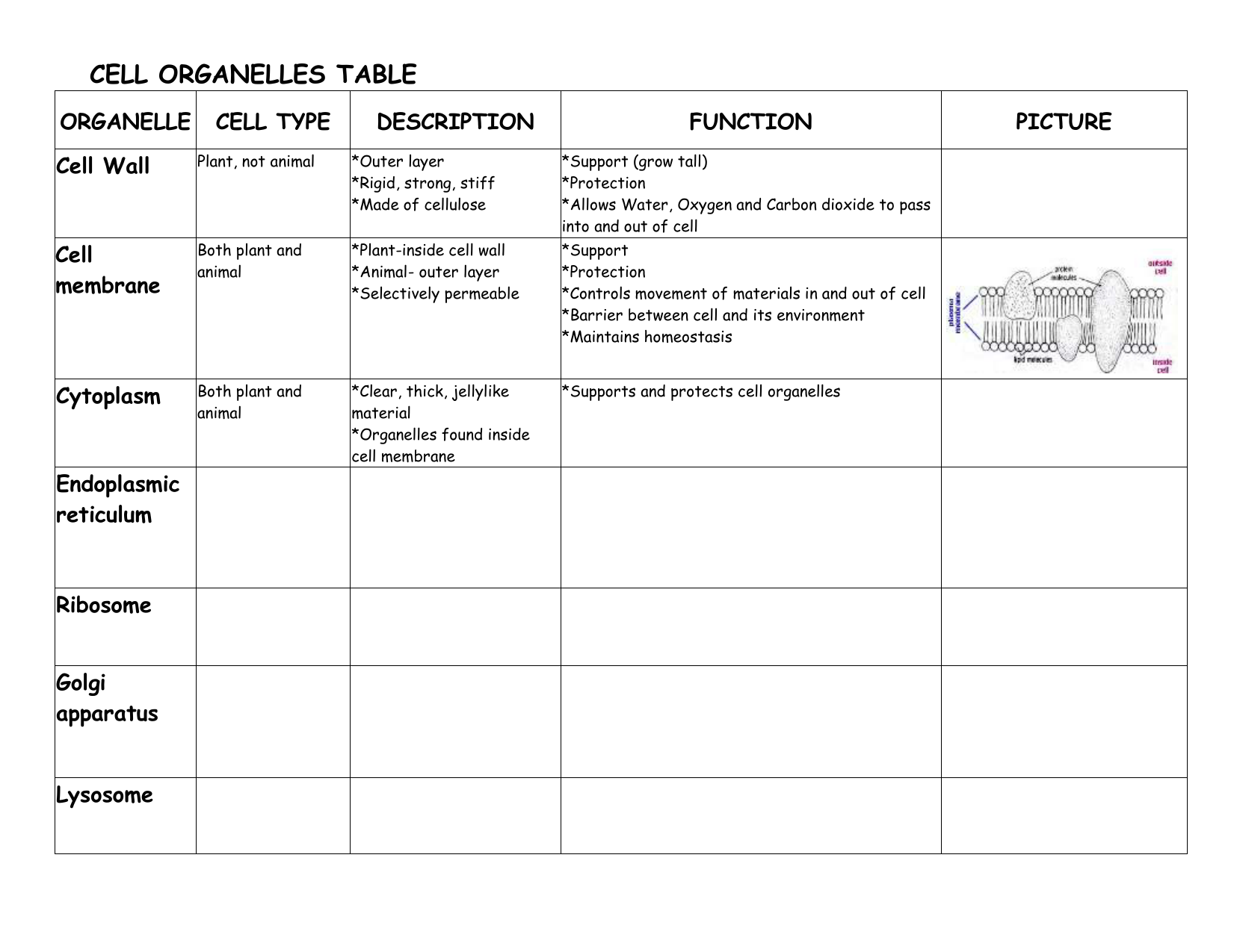 Cell Structures And Organelles Chart Worksheet