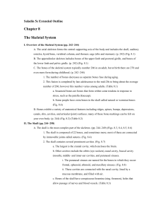 Saladin 5e Extended Outline