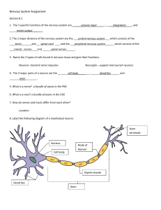 Nervous System Assignment Section 8.1 1. The 3 specific functions
