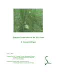Eelgrass Conservation for the BC Coast
