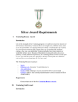 Silver Award Requirements - US Scouting Service Project