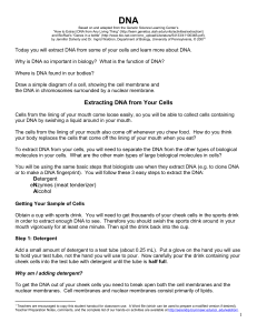 DNA extraction from cheek cells protocol I mailed to you