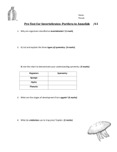 Name: Period: Pre-Test for Invertebrates: Porifera to Annelids /61