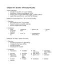 Chapter 11 Vocabulary and Objectives