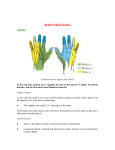 Nerve Block Median - Developinganaesthesia