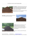 NATURAL-MULCH-AND-WOOD-CHIPS-1