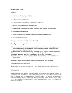 Bryophytes and Ferns