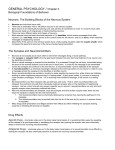 Chapter 3 Class Notes / Biological Foundations