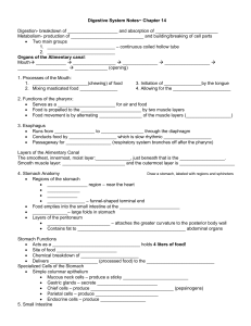 Digestive System Notes~ Chapter 14