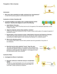 Endocrine System: Overview