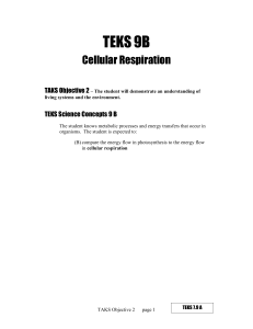 Cellular Respiration