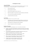 Answers-RespExcrReviewSheet